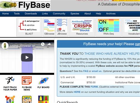 FlyBase .